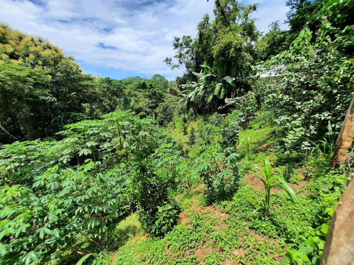 Eco-Turismo Guayacanes Villa Samara Exterior photo